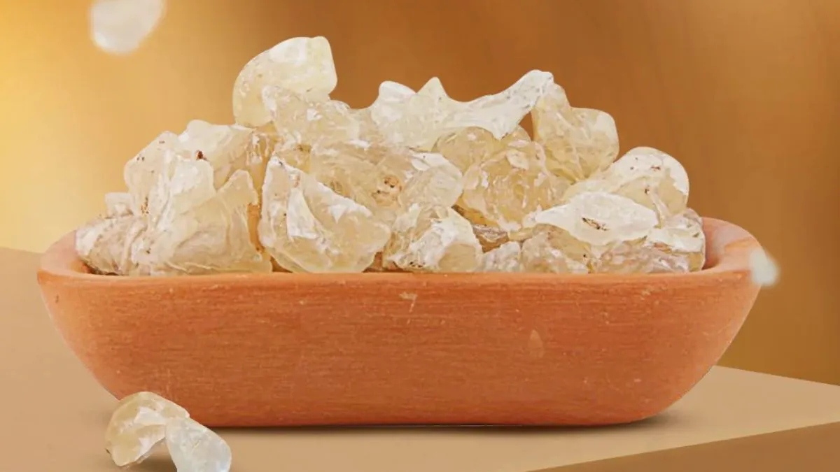 Badam Pisin Benefits: மழைக்காலத்தில் பாதாம் பிசின் சாப்பிடலாமா? நன்மை தீமைகள் இங்கே!