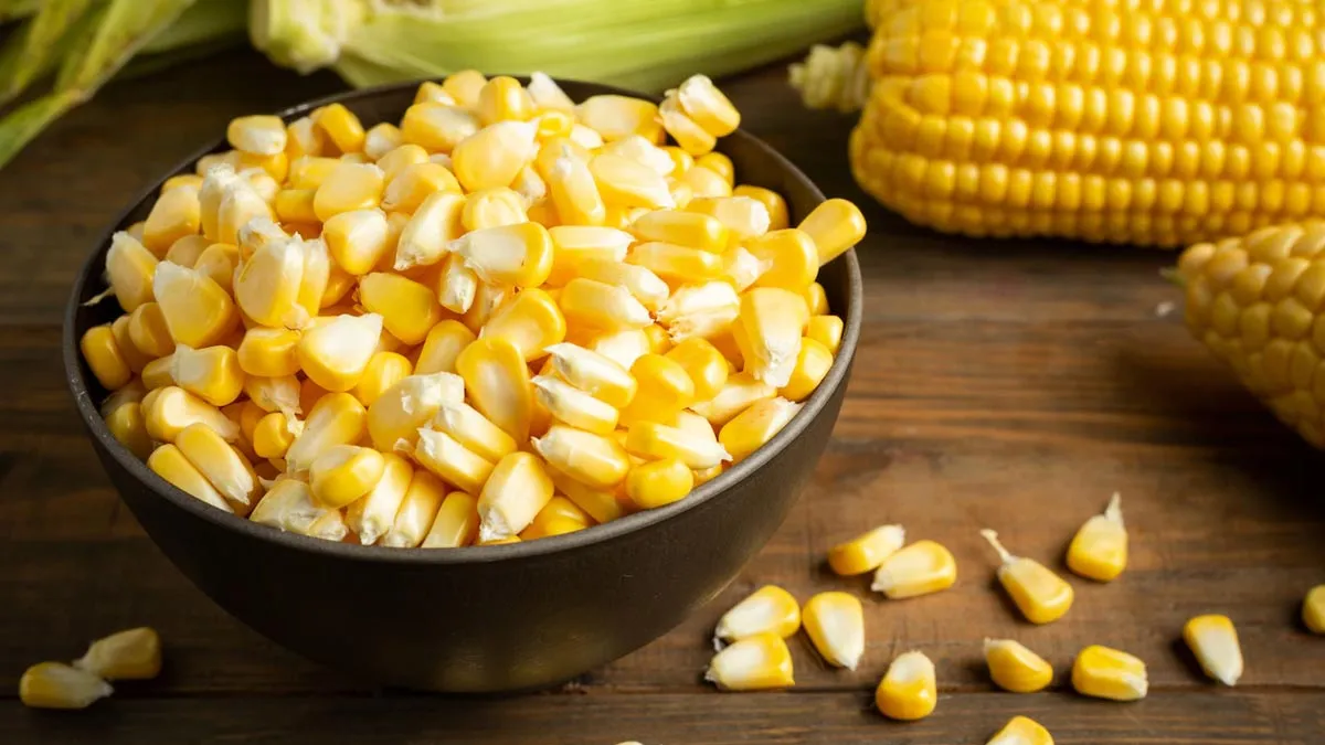 Benefits of Corn: சோளம் அதிகம் சாப்பிட்டால் மலச்சிக்கல் ஏற்படுமா? நிபுணர்கள் கூறுவது என்ன?