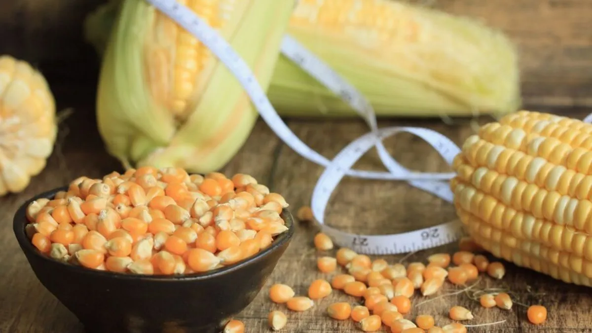Corn for weight loss: மாஸ் வேகத்தில் எகிறும் உடல் எடையைக் குறைக்க சோளத்தை இப்படி சாப்பிடுங்க!