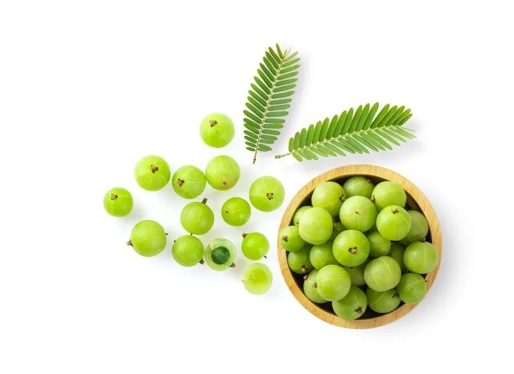 Amla For Weight Loss: நெல்லிக்காயை இப்படி சாப்பிட்டா எடை கிடுகிடுன்னு குறையுமாம் - ஆயுர்வேத நிபுணர் அட்வைஸ்!