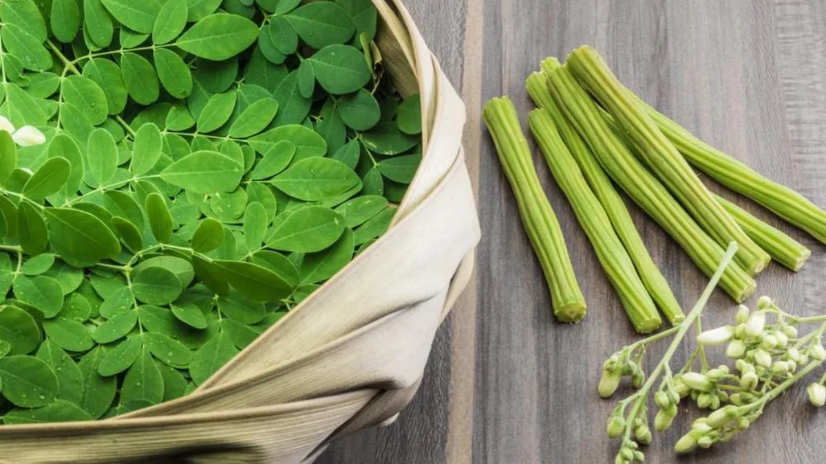 Drumstick leaves benefits: தினமும் இந்த இலை சாப்பிட்டா எல்லா பிரச்சனையும் பறந்து போகும்