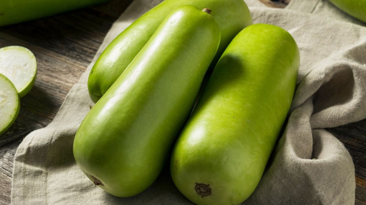 who-should-not-eat-bottle-gourd-main