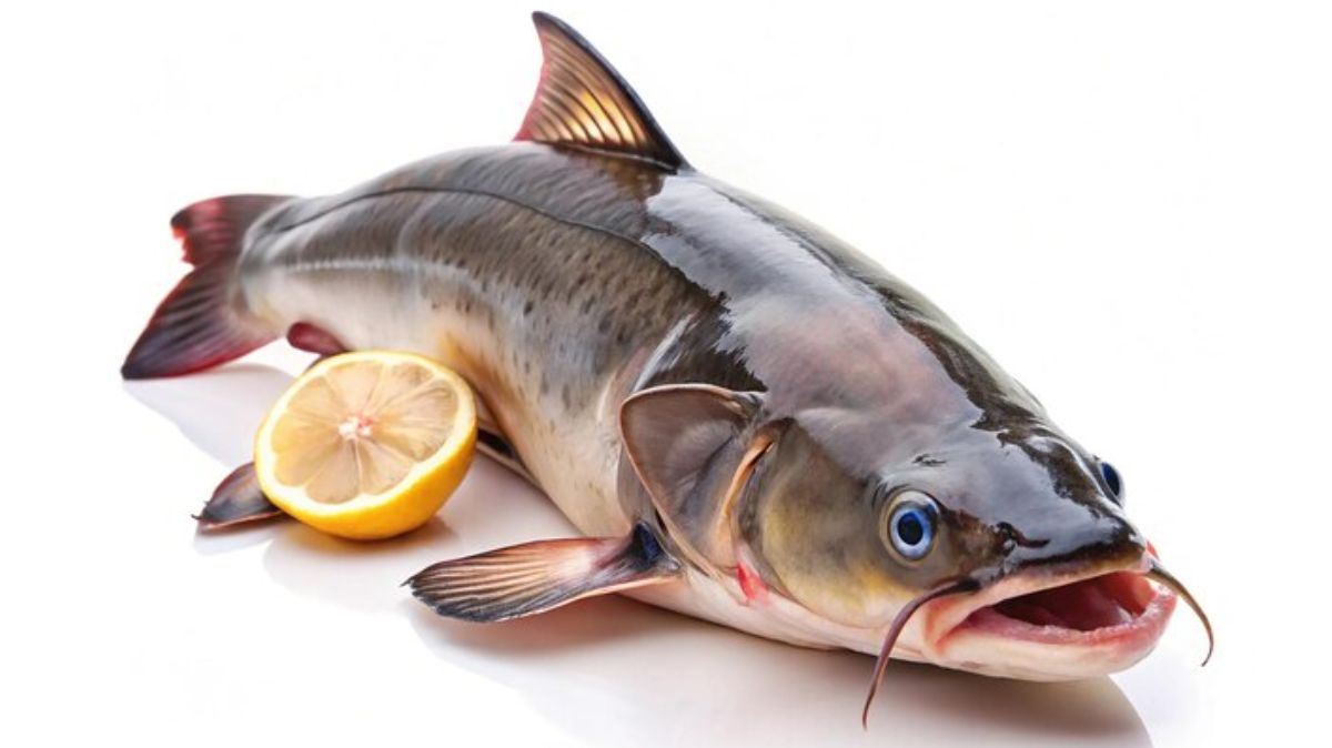 artical  - 2024-12-14T172135.400