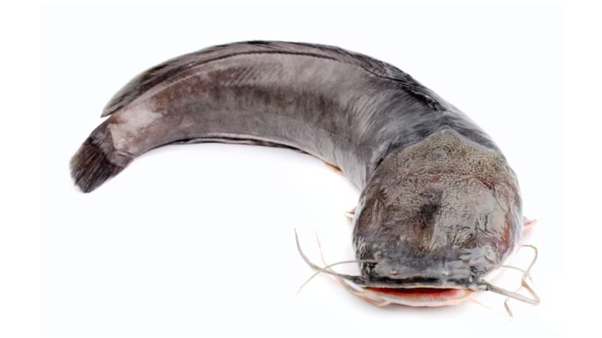 artical  - 2024-12-14T172156.235