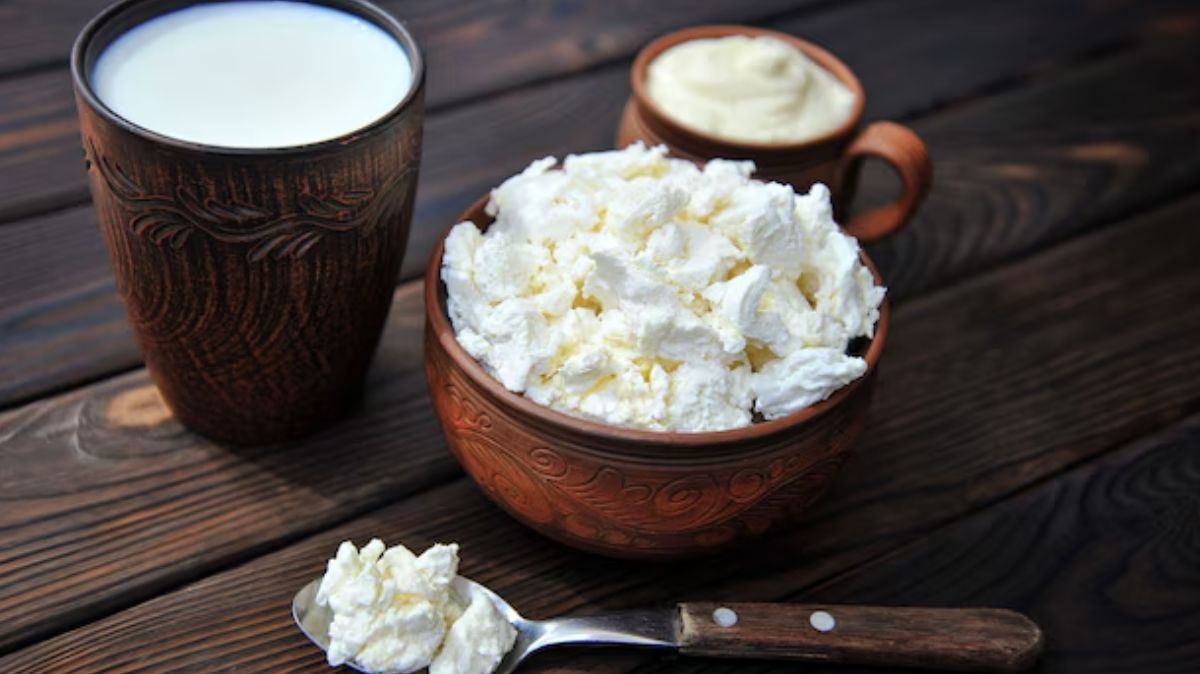 artical  - 2024-12-16T093912.850