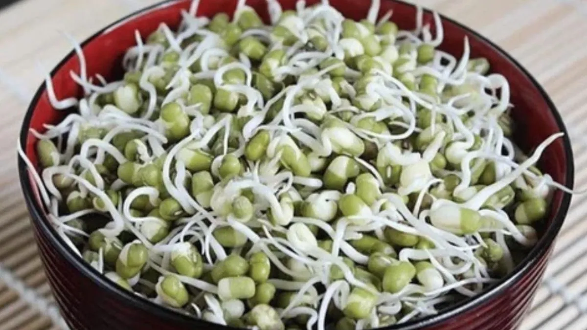 Sprouts Benefits: தினசரி காலை முளைகட்டிய பயறு சாப்பிடுவது உண்மையில் நல்லதா?
