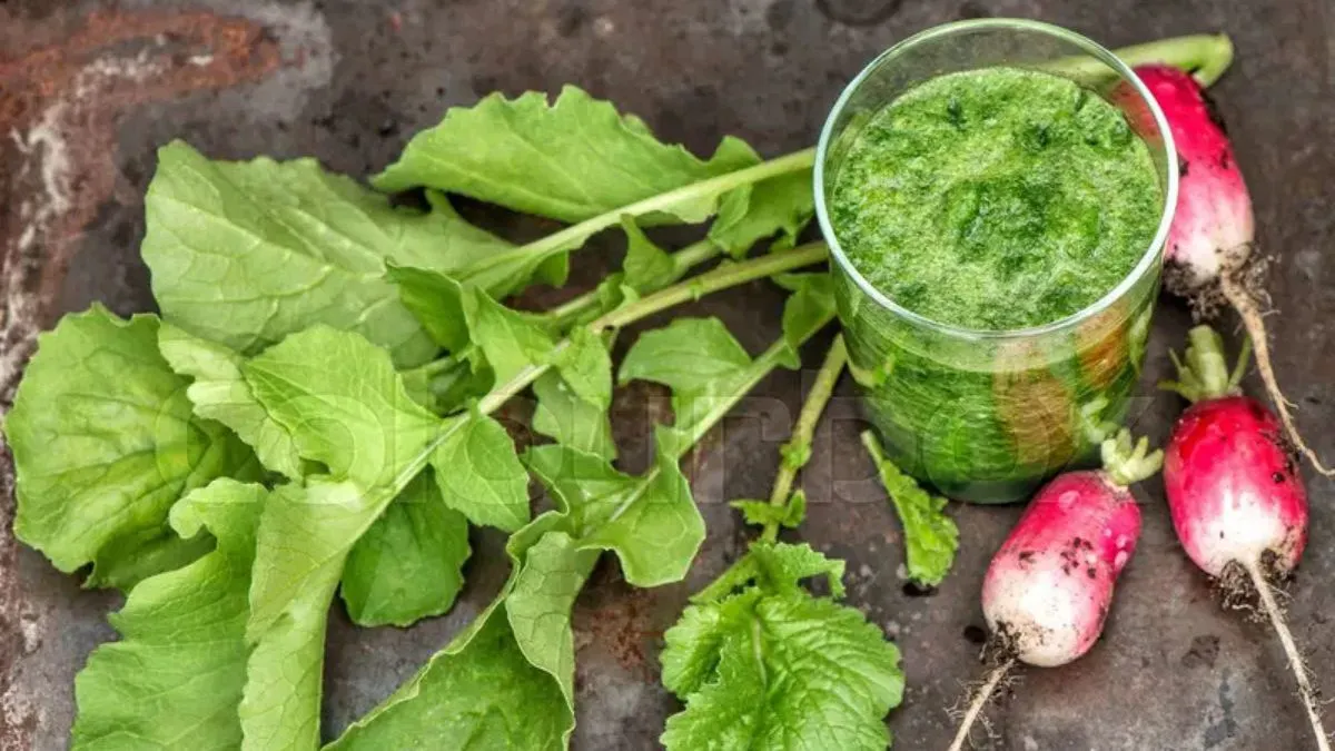 Radish leaves juice benefits: முள்ளங்கி இலை சாறு குடிப்பதால் என்னென்ன ஆரோக்கிய நன்மைகள் கிடைக்கும் தெரியுமா?