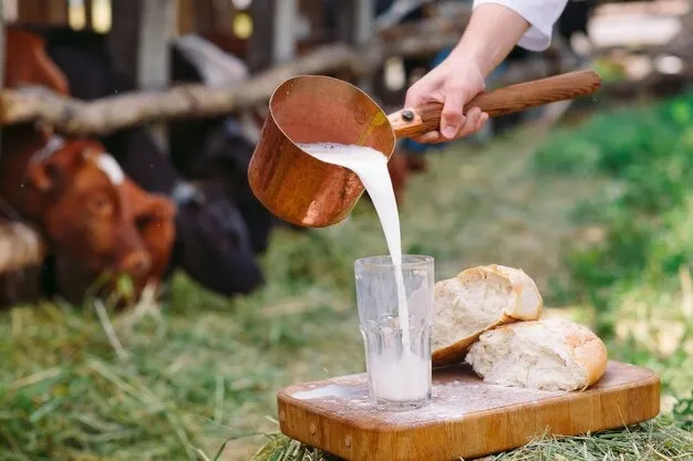 Raw Milk on an Empty Stomach: வெறும் வயிற்றில் பச்சைபால் குடித்தால் என்னவாகும் தெரியுமா?