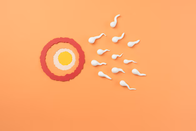 fertility-still-life-arrangement_23-2149195207