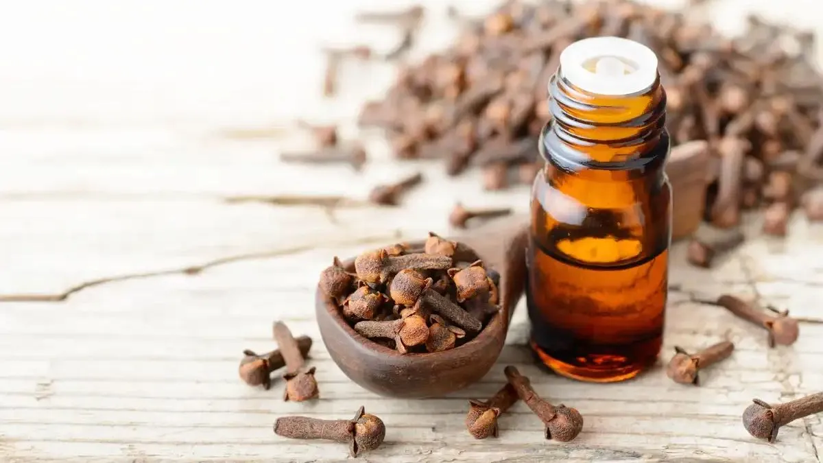 Clove Oil Benefits: கிராம்பு எண்ணெய் டெஸ்டோஸ்டிரோன் ஹார்மோனை அதிகரிக்குமா?