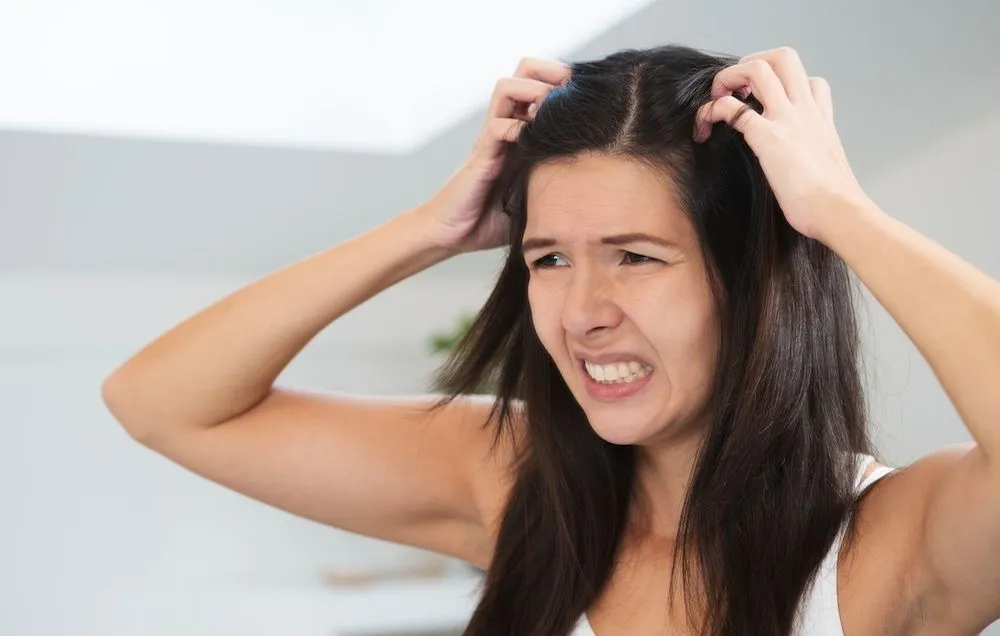 Dandruff Treatment: Anti Dandruff Shampoo உண்மையில் பொடுகு பிரச்சனையை சரி செய்யுமா?