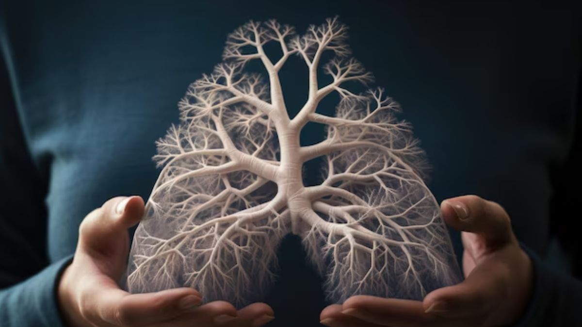 artical  - 2024-12-30T134534.202