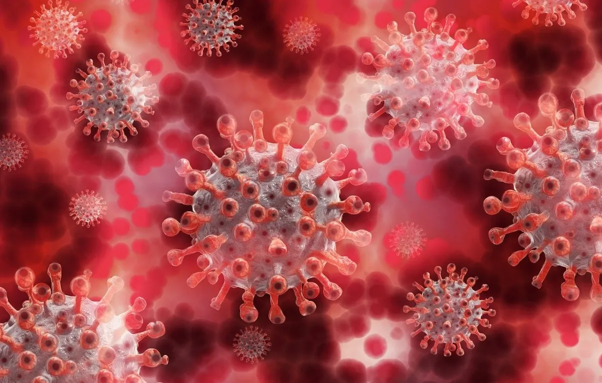 HMPV Symptoms: HMPV வைரஸ் தொற்று பற்றி நீங்கள் கட்டாயம் தெரிந்து கொள்ள வேண்டியது?