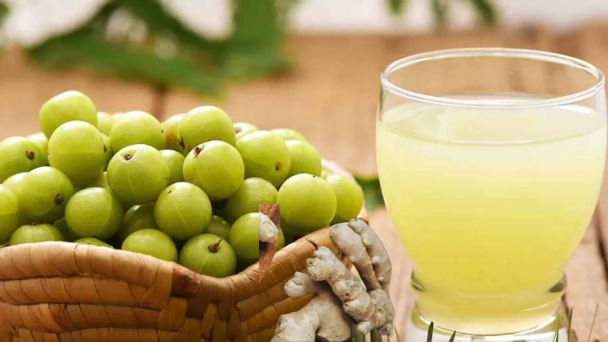Amla shots benefits: தினமும் வெறும் வயிற்றில் ஆம்லா ஷாட் குடிப்பதால் என்ன நன்மைகள் கிடைக்கும் தெரியுமா?