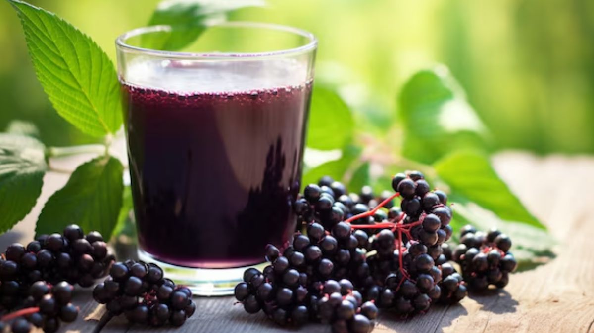 artical - 2025-01-12T152341.355