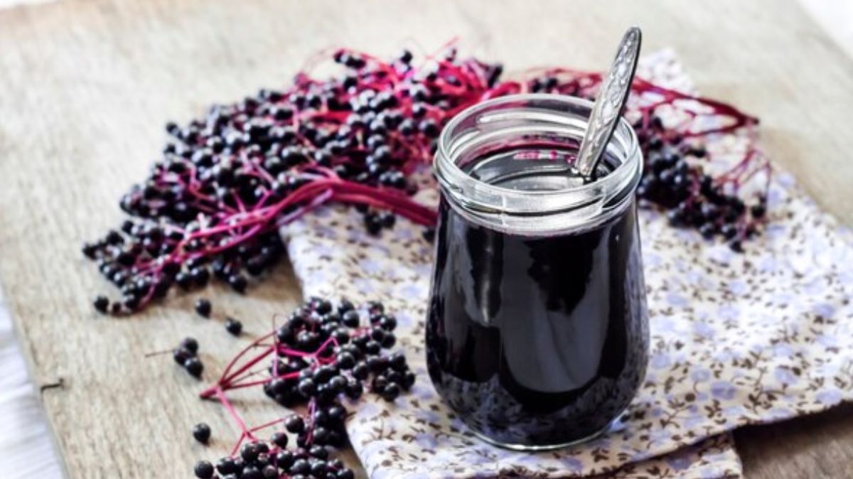 artical - 2025-01-12T152703.785