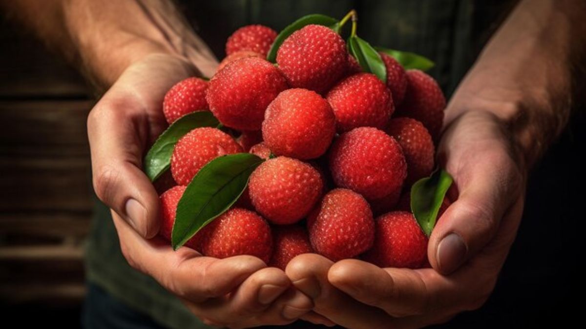 artical  - 2025-01-23T125544.893