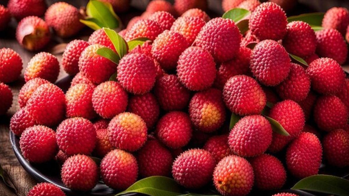 artical  - 2025-01-23T130259.498