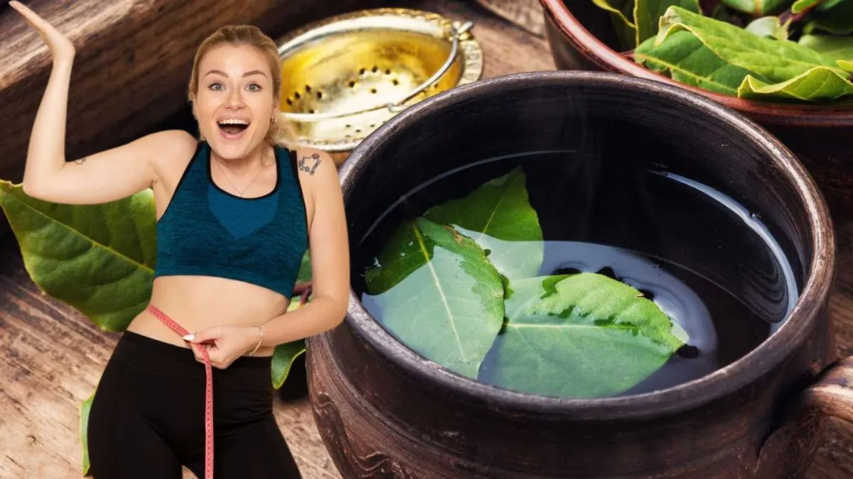 Bay leaf for weight loss: தொப்பை இருந்த இடம் தெரியாம கரைய இந்த ஒரு மசாலாவை மட்டும் சேர்த்துக்கோங்க