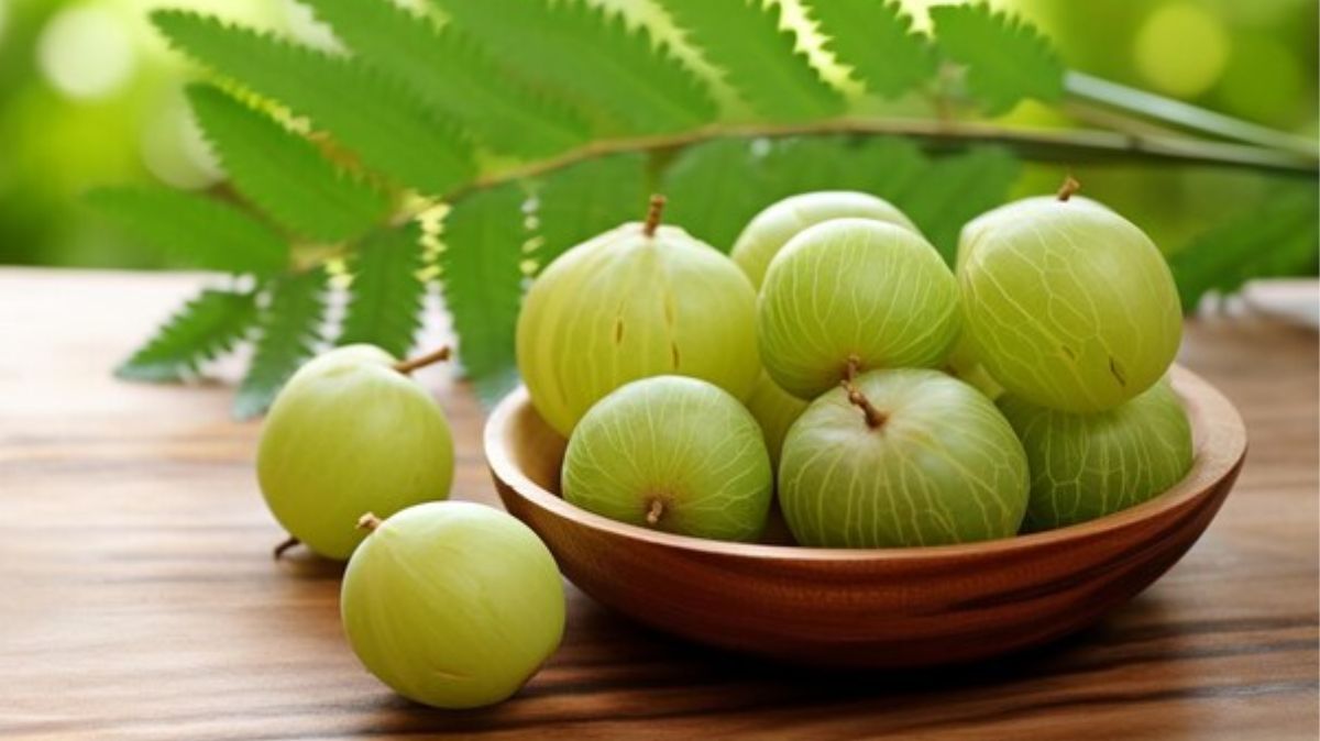 artical  - 2025-01-25T130621.439