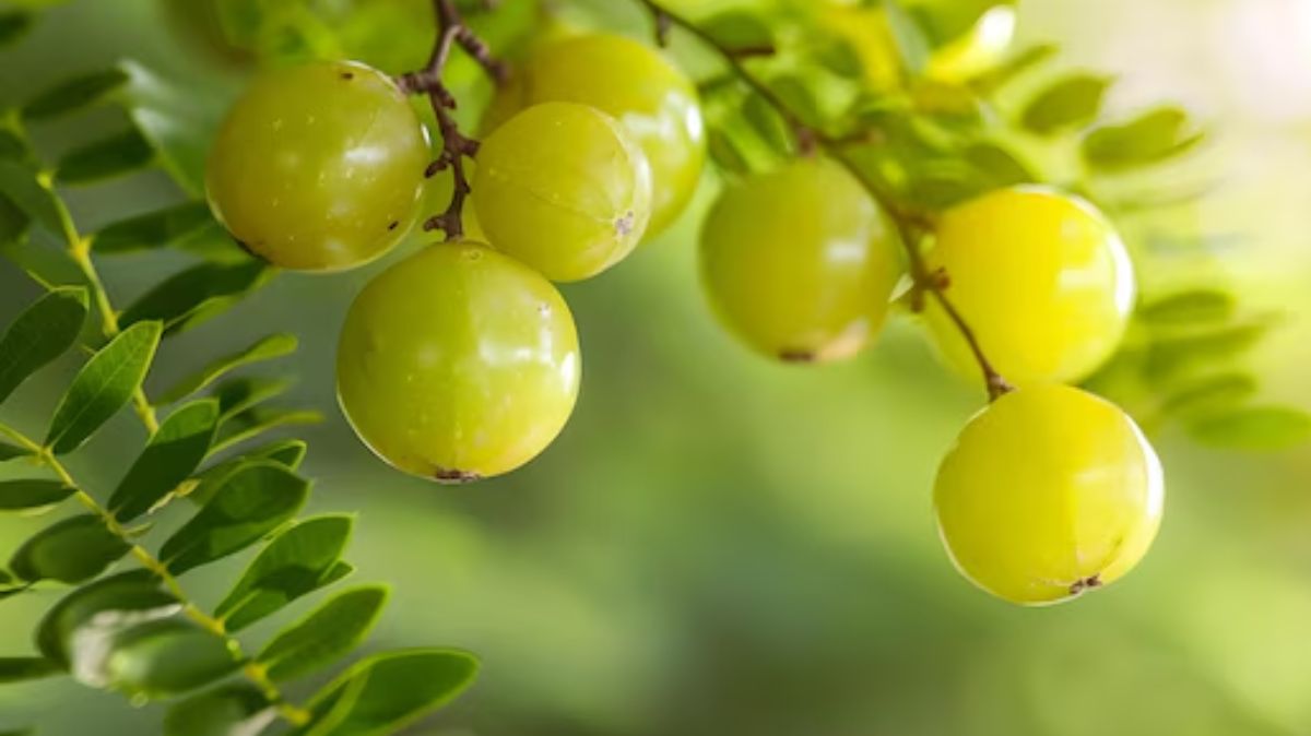 artical  - 2025-01-25T130645.476