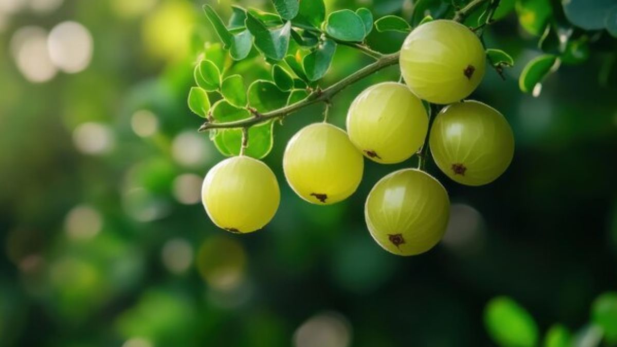 artical  - 2025-01-25T134242.439