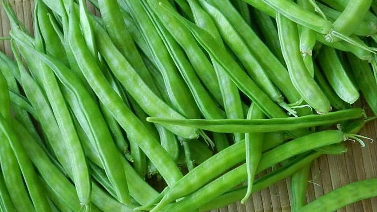 artical - 2025-02-05T135630.923