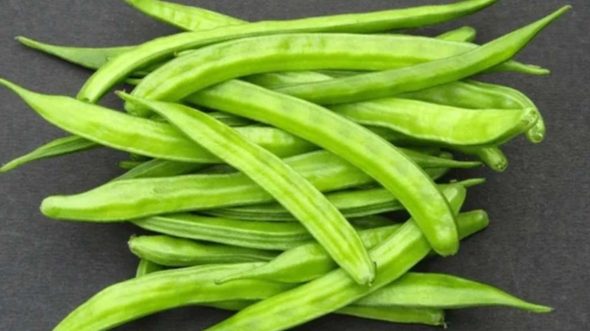 artical - 2025-02-05T135656.965