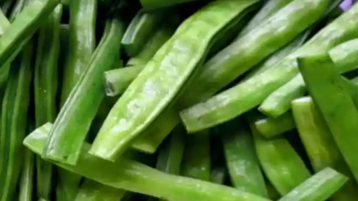 artical - 2025-02-05T135726.986