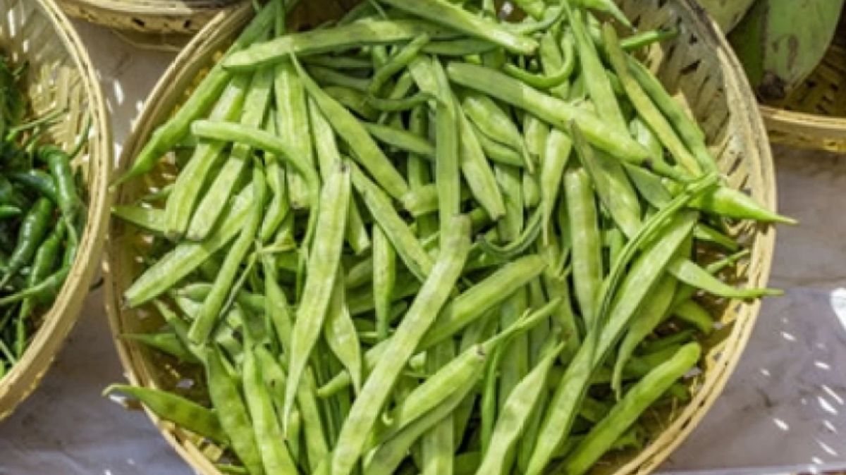 artical - 2025-02-05T135811.870