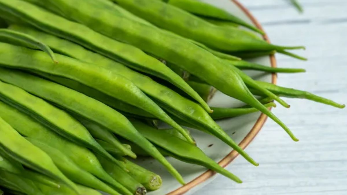 artical - 2025-02-05T135916.671