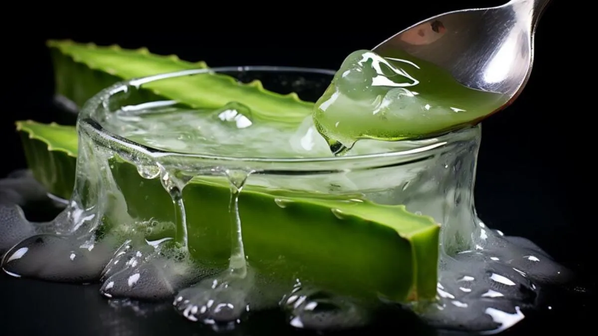 Aloe Vera Juice: தினமும் காலையில் கற்றாழை ஜூஸ் குடித்தால் கிடைக்கும் 10 ஆரோக்கிய நன்மைகள்!