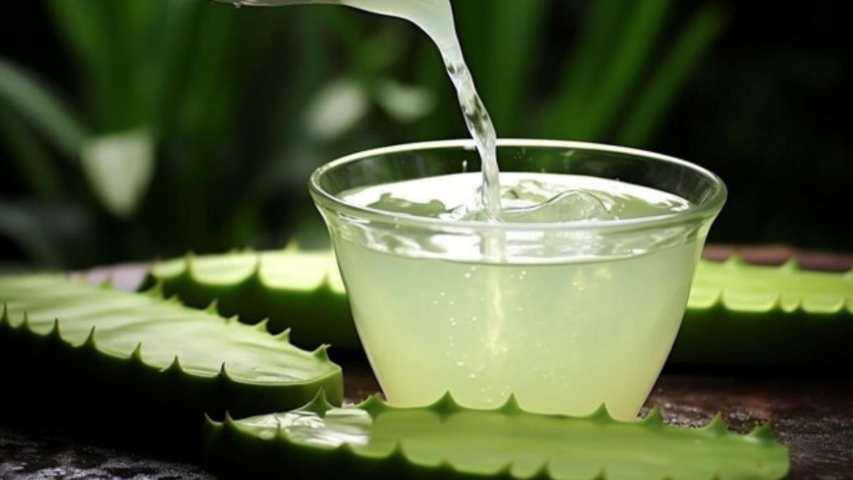 aloe vera juice every morning