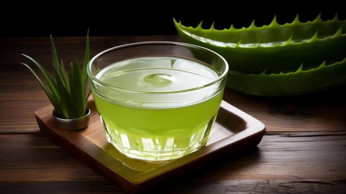 Aloevera for dry skin: வறண்ட சருமத்தை மென்மையா, பளபளப்பா மாத்தணுமா? கற்றாழை ஒன்னு போதும்