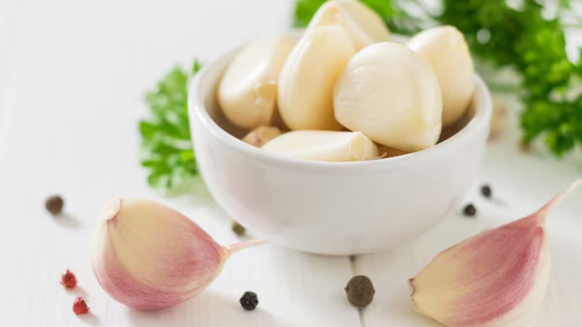 artical  - 2025-02-10T132007.680