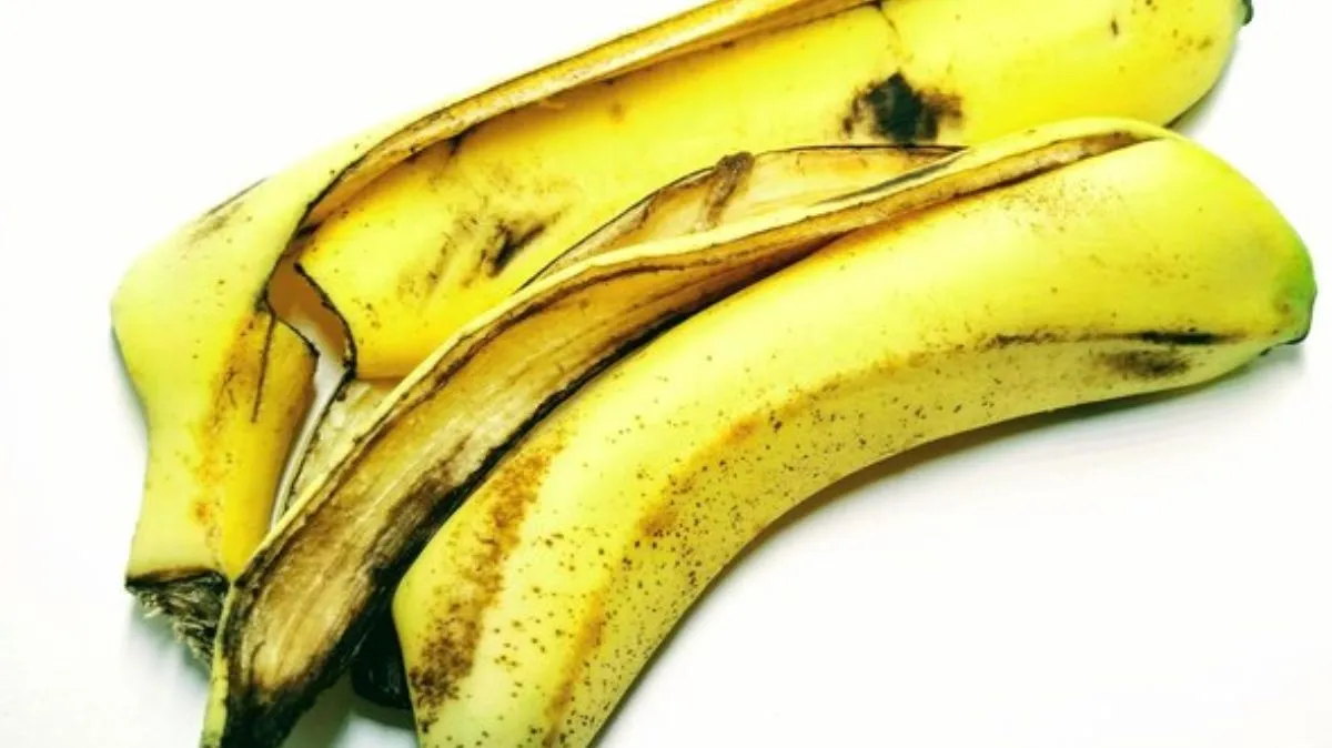 Banana Peel: வாழைப்பழத் தோலைத் தூக்கி எறியாதீர்கள்.! அவற்றைக் கொண்டு ஃபேஸ் பேக் தயாரிக்கலாம்.!