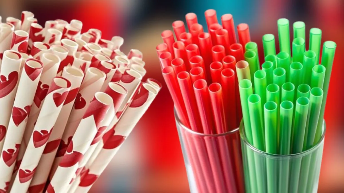 STRAWS: பேப்பர் ஸ்ட்ரா Vs பிளாஸ்டிக் ஸ்ட்ரா., இரண்டுமே வேஸ்ட் இந்த ஸ்ட்ரா நாட்டுக்கும் மக்களுக்கும் பெஸ்ட்