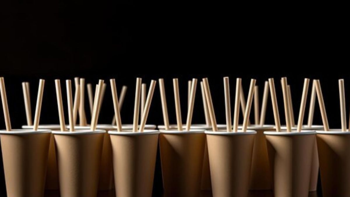 Untitled design - 2025-02-13T184001.591