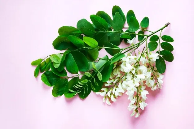 Moringa Flower For Hair Growth: ஓஹோன்னு முடி வளர... ஒரு கைப்பிடி முருங்கை பூவை இப்படி பயன்படுத்திப் பாருங்க...!