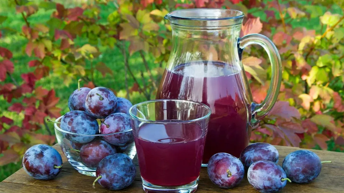 Prune juice for constipation: மலம் கழிப்பதில் சிரமமா இருக்கா? இந்த ஒரு ஜூஸ் குடிங்க போதும்