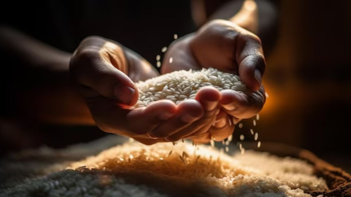 artical  - 2025-02-20T091411.363