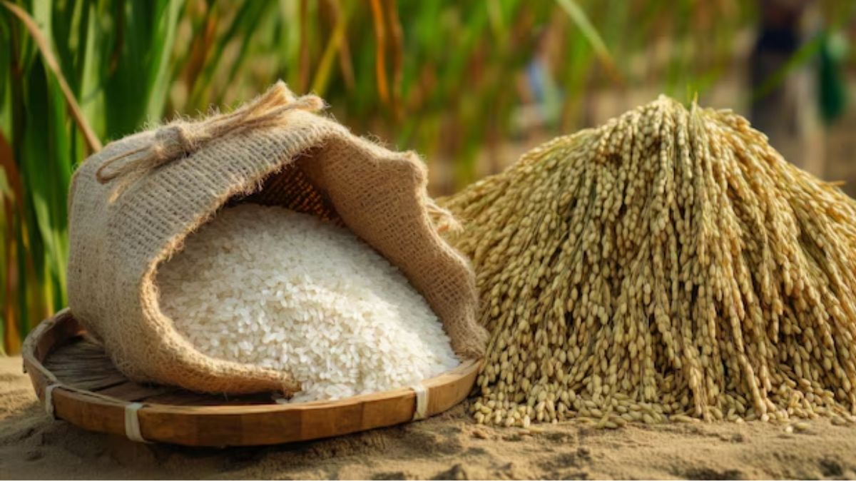 artical  - 2025-02-20T091827.413