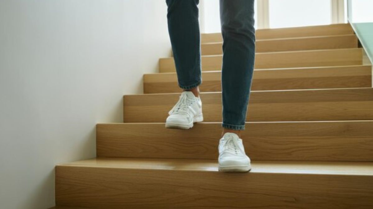 artical  - 2025-02-21T123832.540