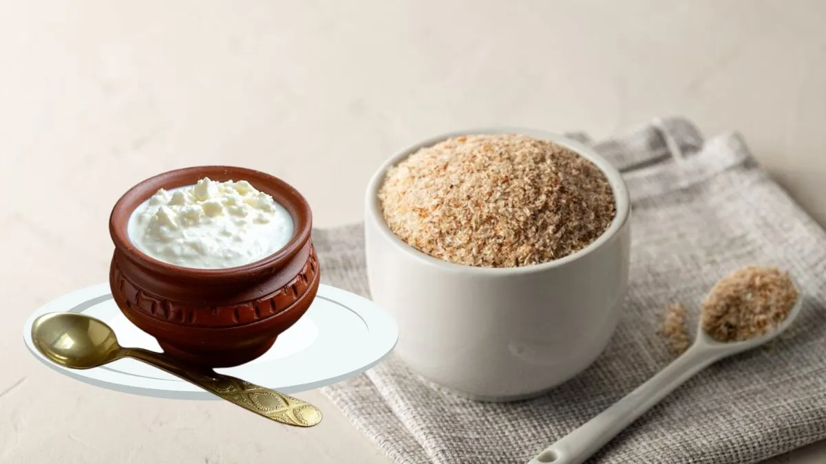 Isabgol with curd benefits: இசப்கோலை தயிருடன் சேர்த்து சாப்பிடுவதால் என்னென்ன நன்மைகள் கிடைக்கும் தெரியுமா?