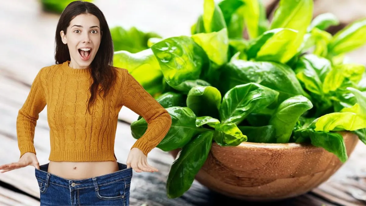 Tulsi for weight loss: வயிற்றில் தொங்கிய தொப்பைக் கொழுப்பைக் குறைக்க துளசி இலை ஒன்னு போதும்!