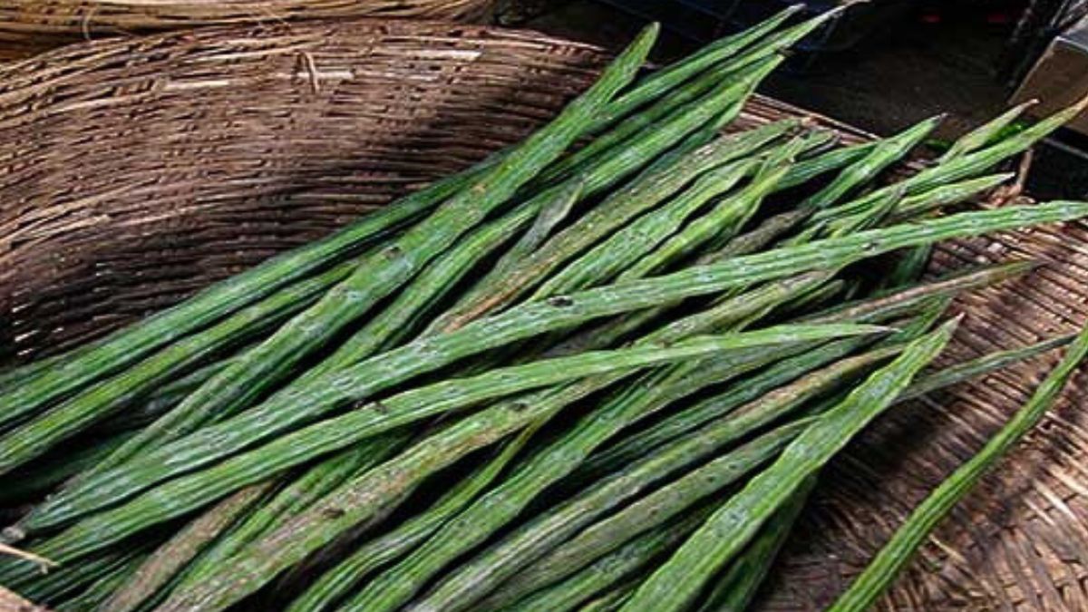 drumstick benefits for male