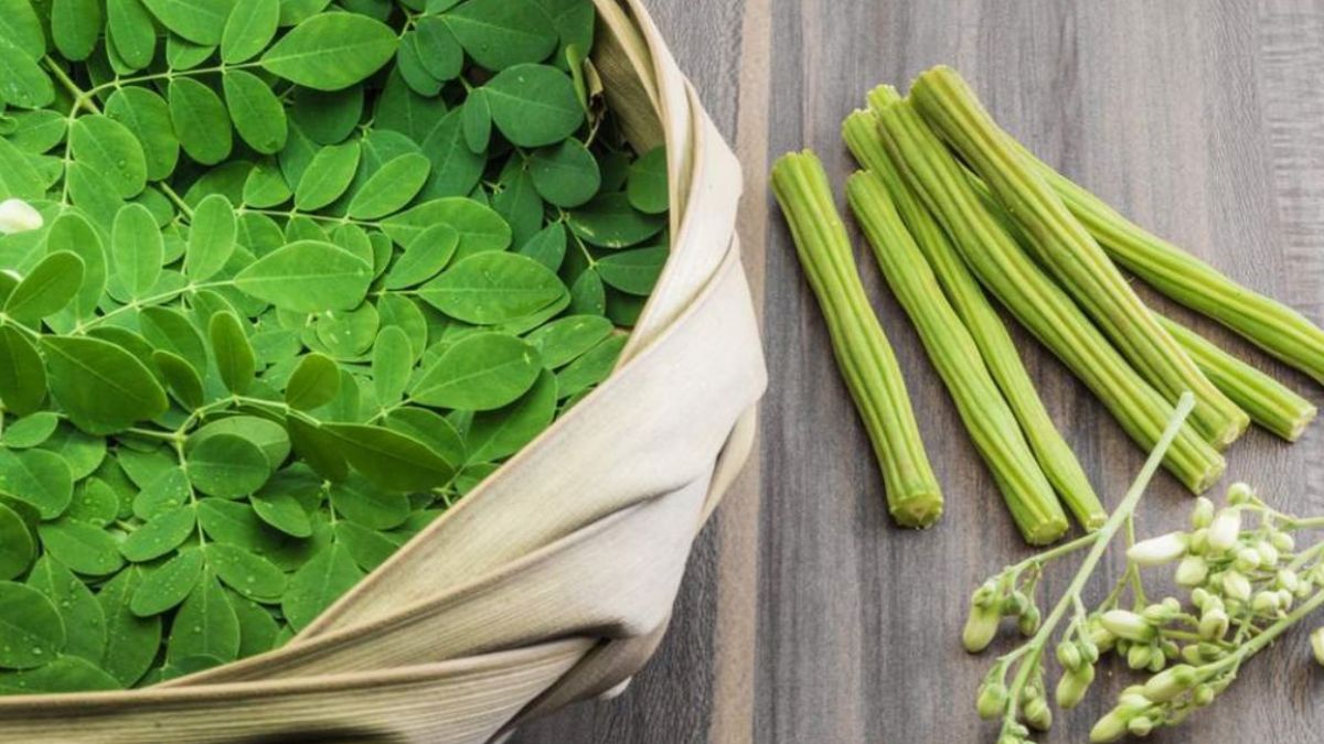 drumstick for sexual life