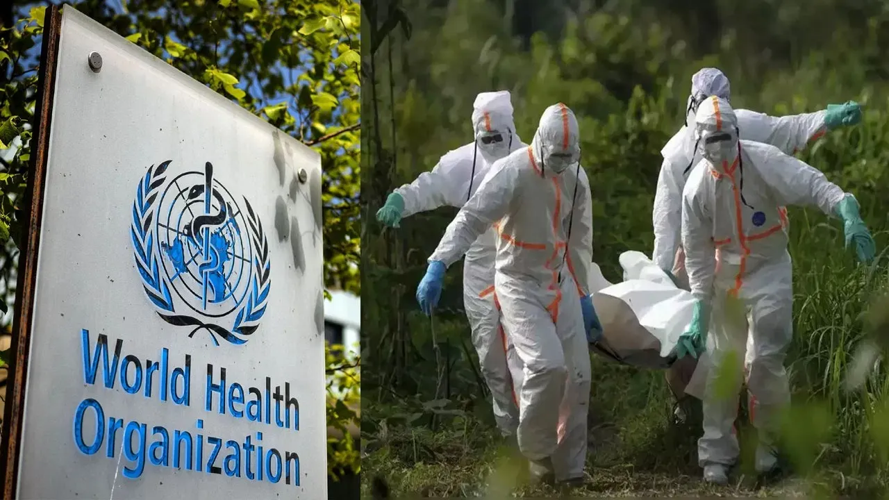 Congo Mystery Virus: 48 மணி நேரத்தில் மரணம்... காங்கோ வைரஸ் அறிகுறிகள், முன்னெச்சரிக்கை, சிகிச்சை என்னென்ன?