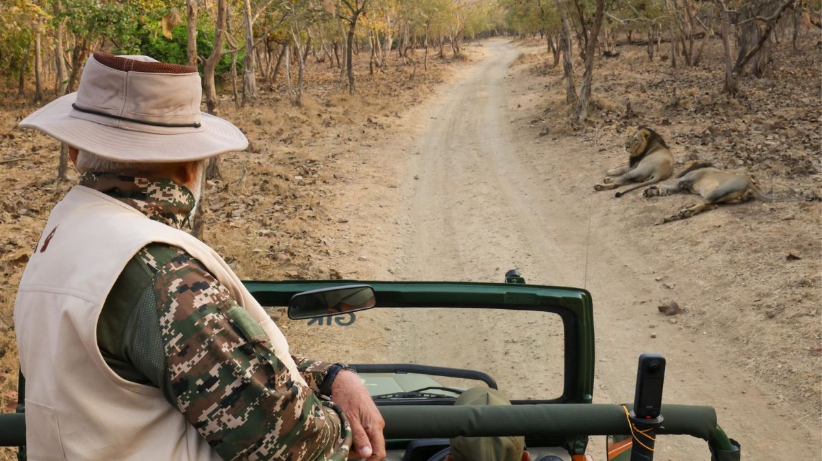 artical - 2025-03-03T121621.442