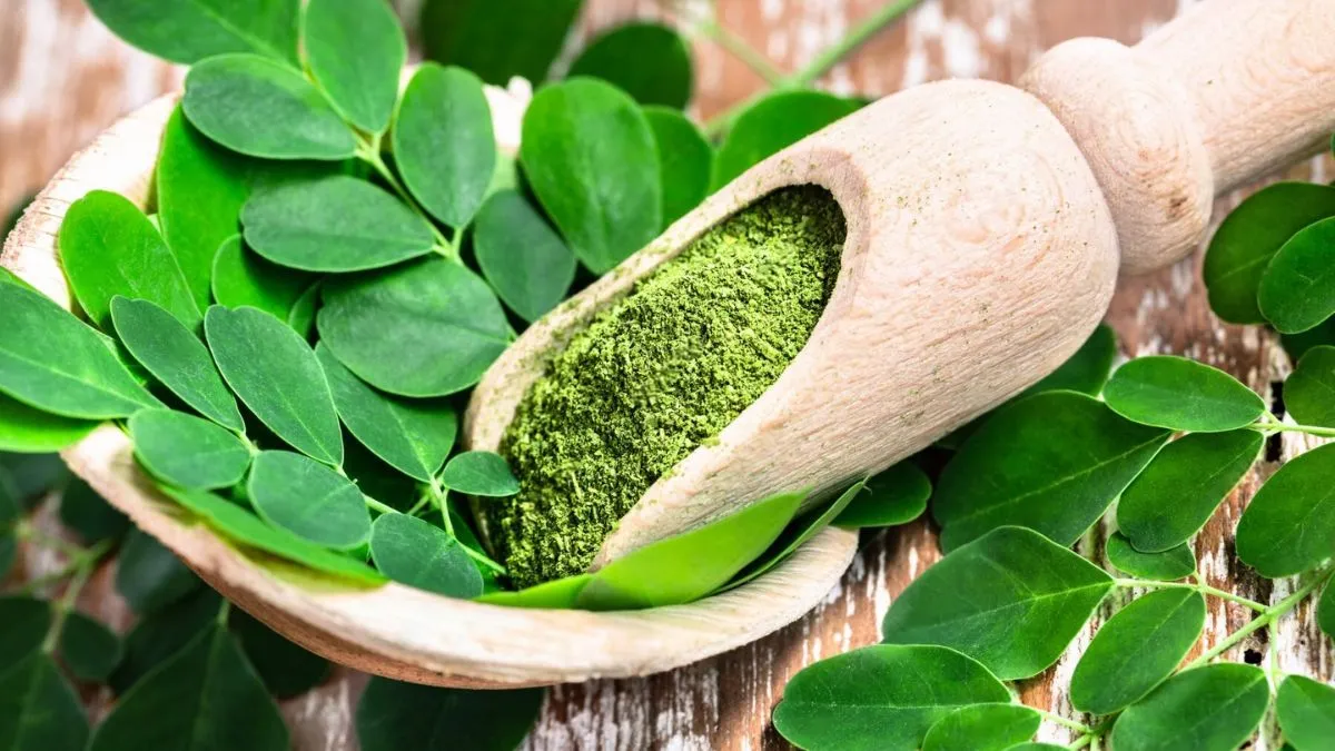 Moringa recipes for weight loss: எகிறும் தொப்பைக் கொழுப்பை வேகவேகமாக குறைக்க உதவும் 3 சூப்பர் மொரிங்கா ரெசிபிஸ் இதோ!